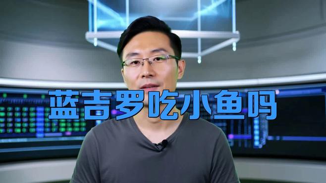 吉羅魚和龍魚哪個更好養？