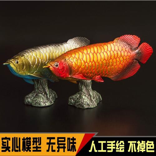 紅龍魚是金龍魚嗎圖片欣賞 紅龍魚是金龍魚嗎圖片欣賞 龍魚百科 第23張