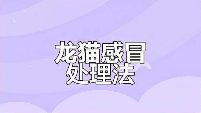 龍貓生病了應該如何處理？