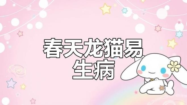 龍貓生病了應該如何處理？