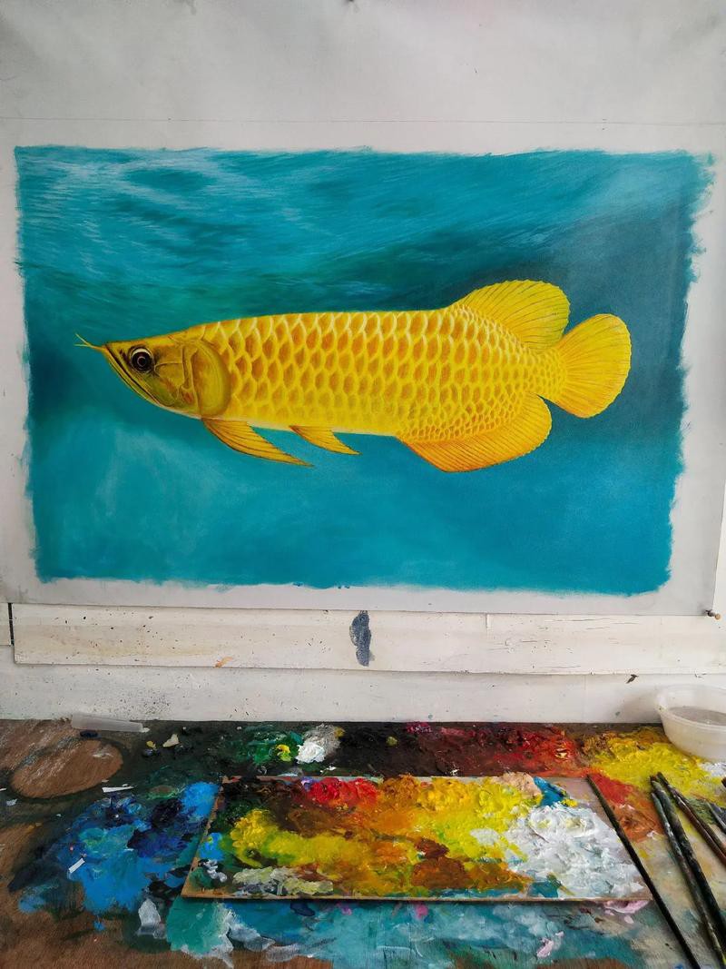 金龍魚背景圖片