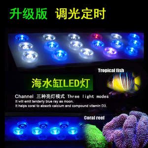 龍魚夜燈應該往哪照：龍魚夜燈照射方向 龍魚夜燈應該往哪照：龍魚夜燈照射方向 龍魚百科 第2張