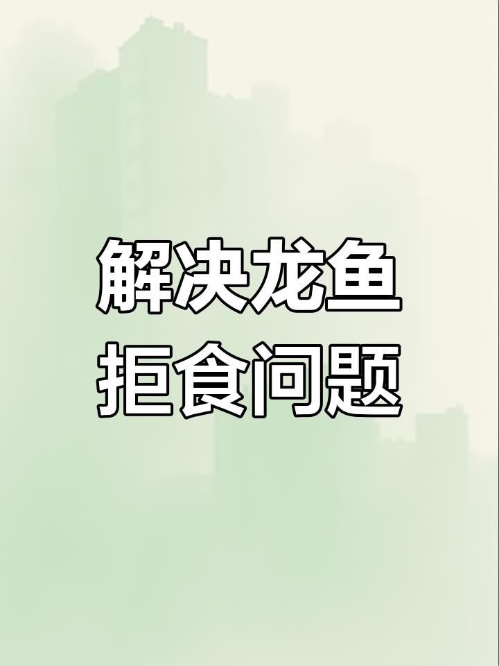 龍魚消化不良時，如何促進消化？