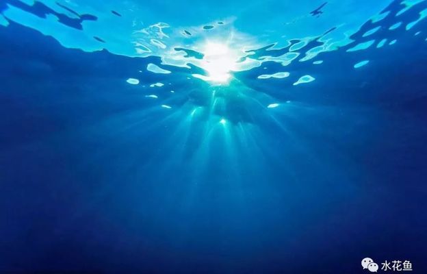 揚州水族批發市場地址電話號碼 揚州水族館門票多少錢
