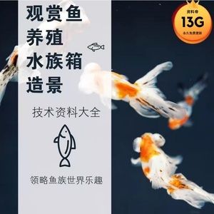 龍魚養殖技術教材：龍魚養殖技術教程