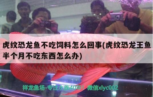 藍龍魚和錦鯉能一起養嗎，藍龍魚和錦鯉能一起養殖嗎