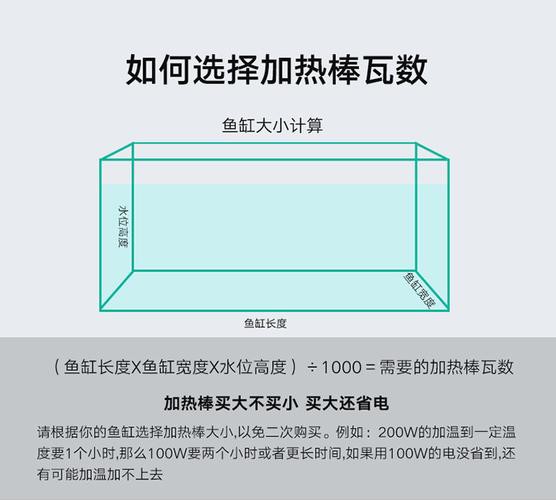 如何選擇適合龍魚的加熱棒品牌？