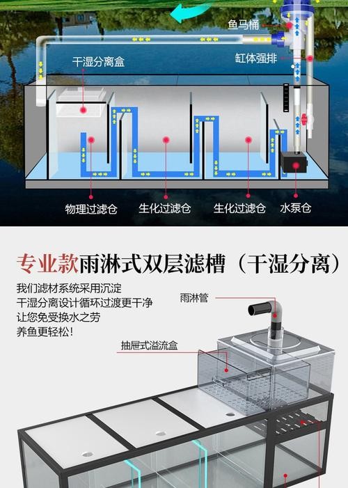 龍魚缸濾材多久清洗一次合適