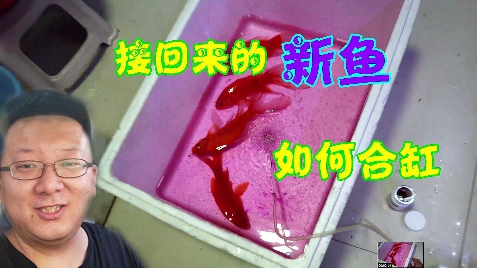 如何判斷合缸后是否交叉感染？