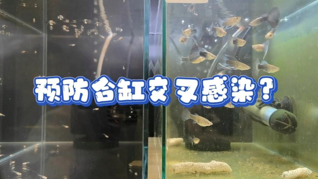 如何判斷合缸后是否交叉感染？