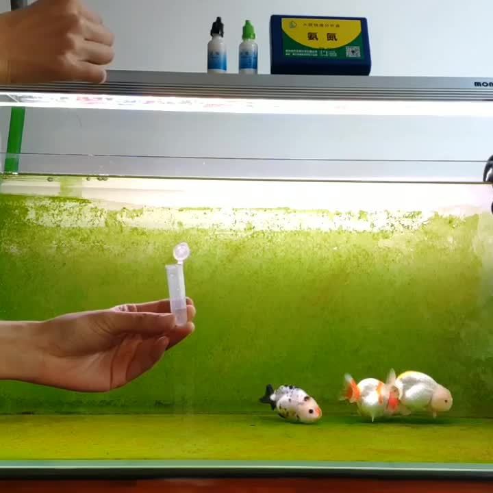 如何檢測龜增色龍魚的水質(zhì)參數(shù)？