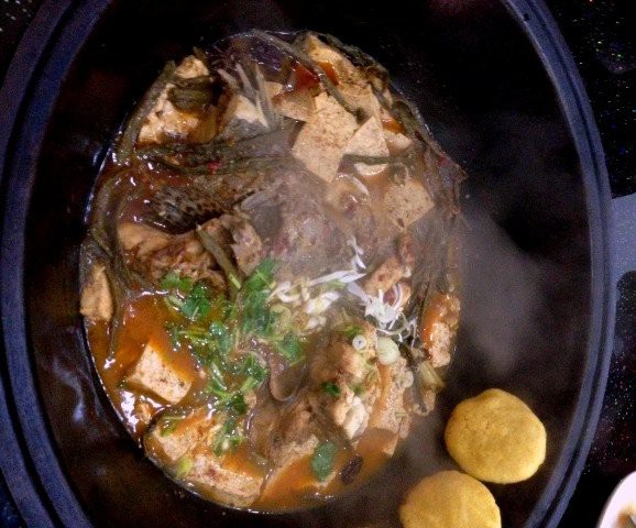 石家莊吃銀龍魚(yú)的飯店有哪些 石家莊吃銀龍魚(yú)的飯店有哪些 龍魚(yú)百科 第11張