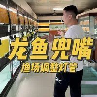 龍魚燈光需要24小時開啟嗎？
