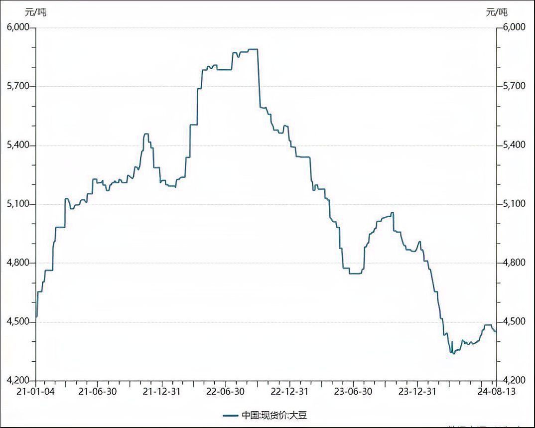金龍魚的價格會波動嗎？
