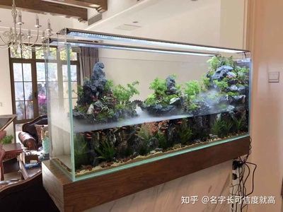 魚缸造型效果圖大全 魚缸造型效果圖大全 龍魚百科 第2張