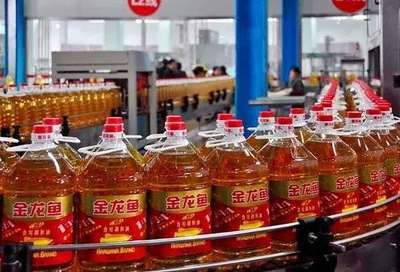 金龍魚為何大漲（金龍魚主力資金動(dòng)向分析）