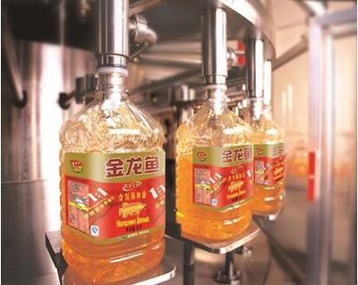 金龍魚為何大漲（金龍魚主力資金動(dòng)向分析）