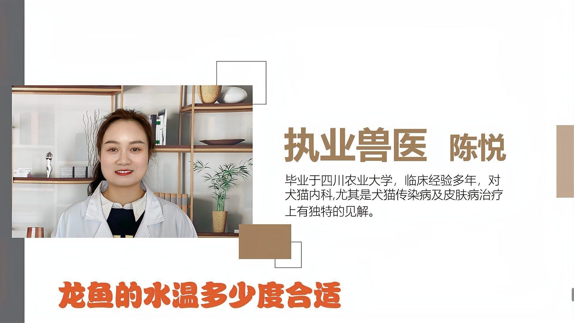 龍魚魚缸溫度要求