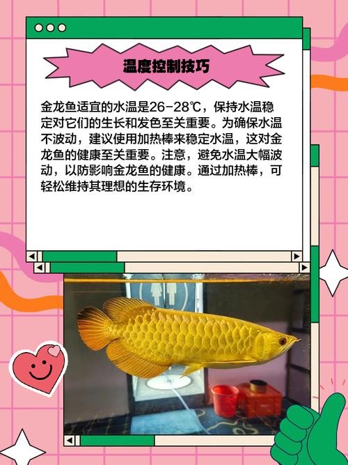 龍魚魚缸溫度要求