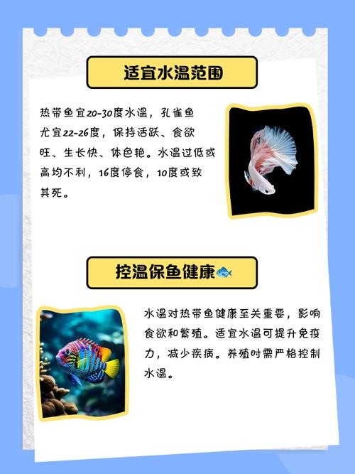 龍魚魚缸溫度要求