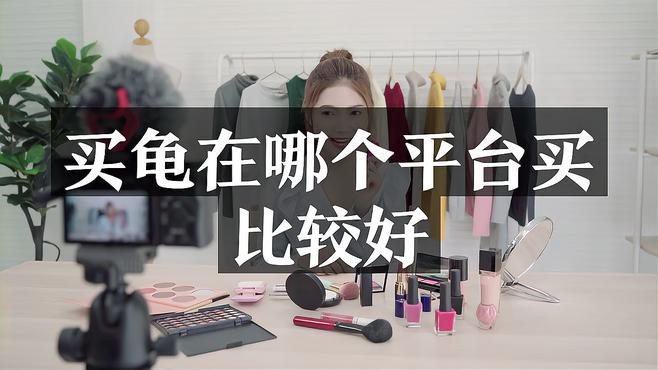 哪些渠道購買龍龜比較可靠？