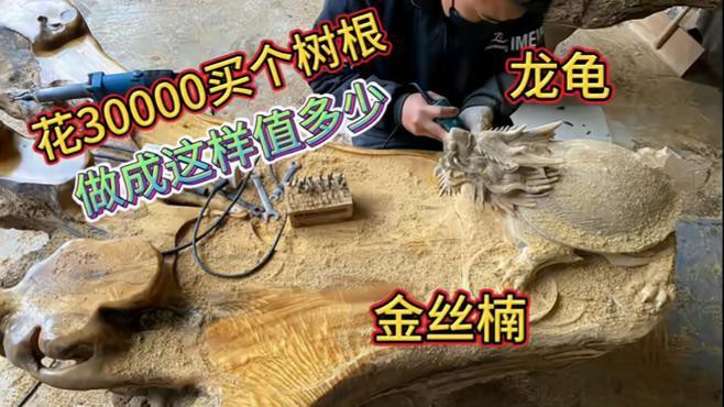 哪些渠道購買龍龜比較可靠？