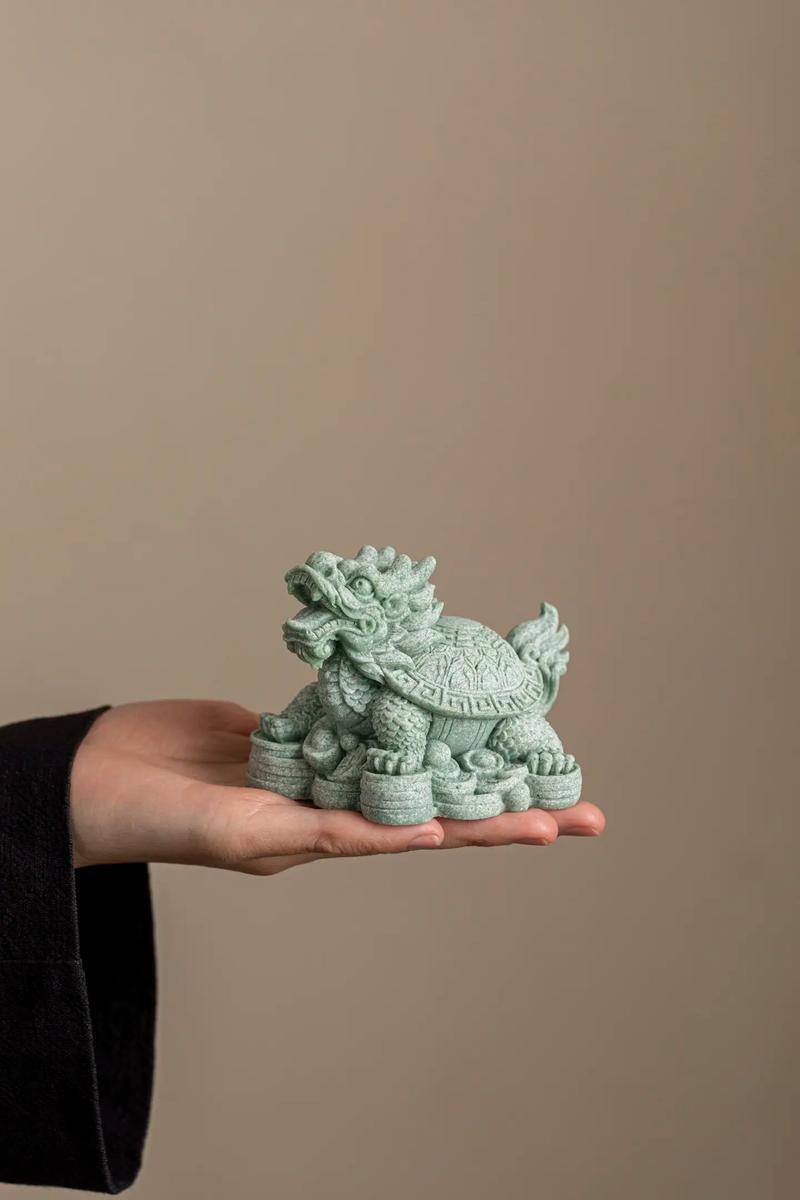 哪些渠道購買龍龜比較可靠？