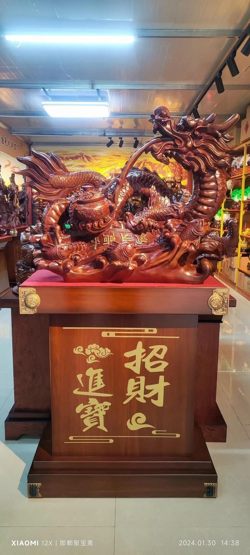 有沒有更多高清的招財(cái)金龍圖片？ 有沒有更多高清的招財(cái)金龍圖片？ 龍魚百科 第22張
