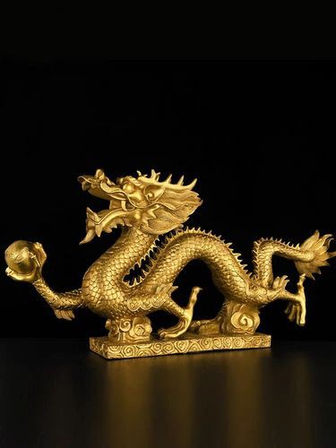 有沒有更多高清的招財(cái)金龍圖片？ 有沒有更多高清的招財(cái)金龍圖片？ 龍魚百科 第27張