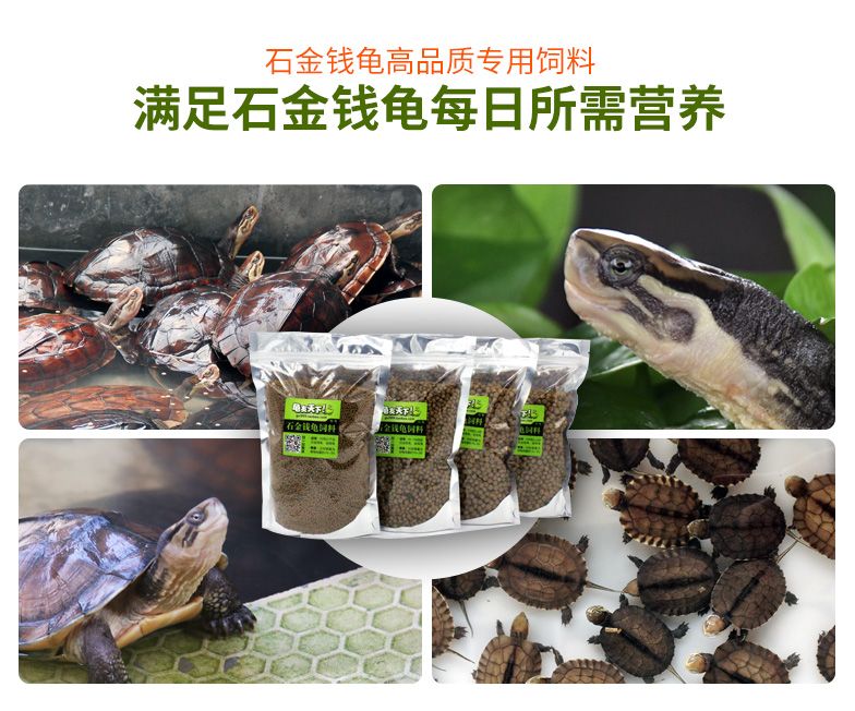 龍魚在中國可以繁殖嗎：龍魚在中國可以繁殖嗎？ 龍魚在中國可以繁殖嗎：龍魚在中國可以繁殖嗎？ 龍魚百科 第1張