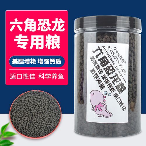 杰西卡恐龍魚飼料品牌推薦：探索適合烏龜和淡水魚的杰西卡恐龍魚飼料品牌推薦
