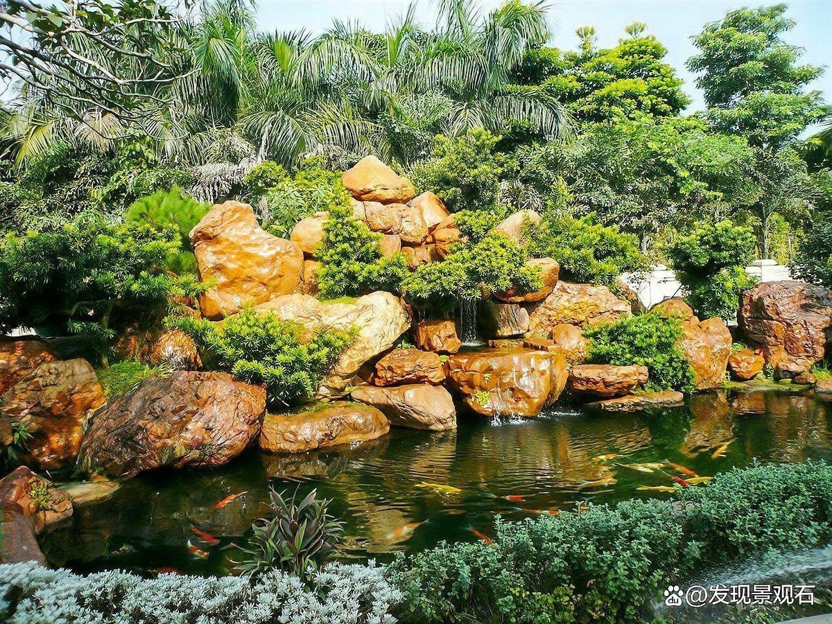 黃蠟石最罕見紫色 黃蠟石最罕見紫色 龍魚百科 第5張