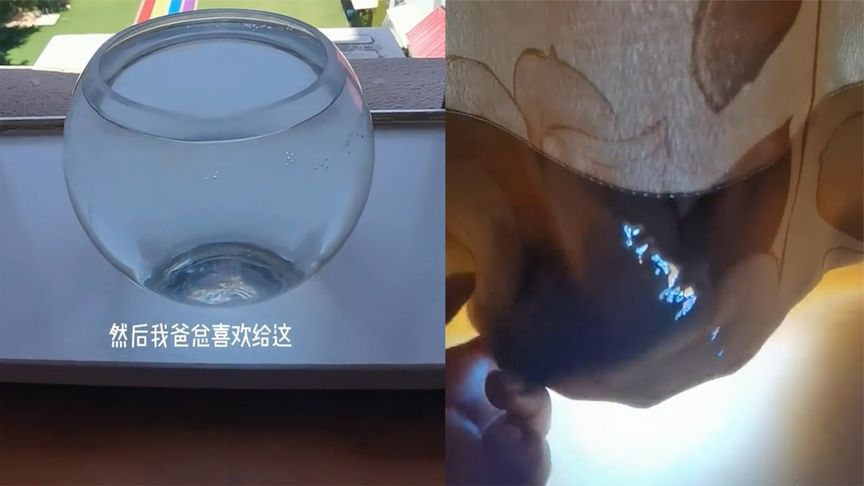 西安魚缸定做祥龍魚場代理店地址（西安觀賞魚市場在哪里-祥龍魚場） 西安魚缸定做祥龍魚場代理店地址（西安觀賞魚市場在哪里-祥龍魚場） 龍魚百科 第5張