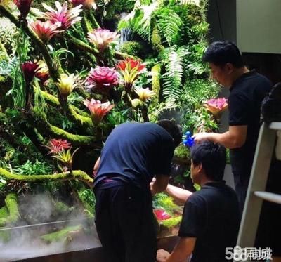 西安魚缸定做祥龍魚場代理店地址（西安觀賞魚市場在哪里-祥龍魚場） 西安魚缸定做祥龍魚場代理店地址（西安觀賞魚市場在哪里-祥龍魚場） 龍魚百科 第7張