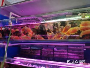 上海水族批發市場（水族批發市場營業時間,水族寵物養護知識）