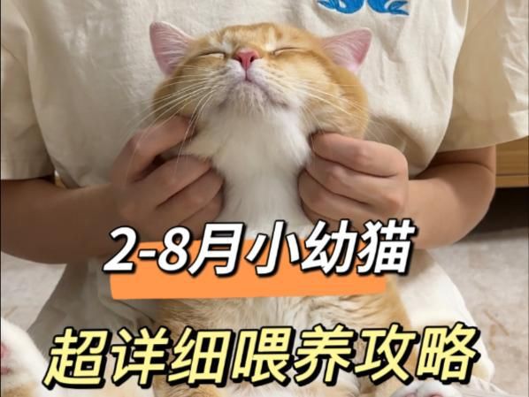 過背金龍爬背的最佳時(shí)期