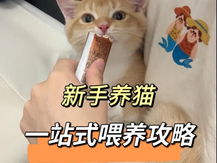 過背金龍爬背的最佳時(shí)期