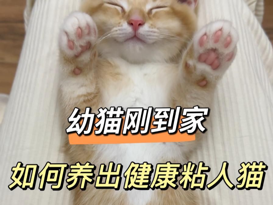 過背金龍爬背的最佳時(shí)期