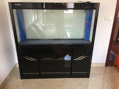 養龍魚上濾魚缸怎么樣：養龍魚上濾魚缸有什么優缺點？