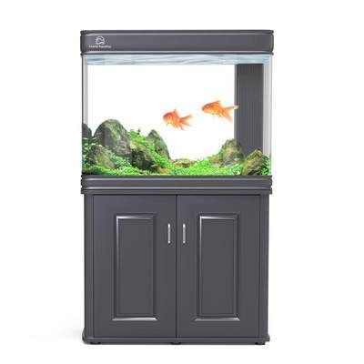 養龍魚上濾魚缸怎么樣：養龍魚上濾魚缸有什么優缺點？