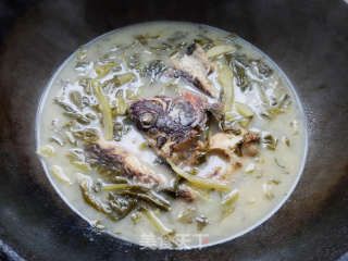 能和龍魚混養的魚品種：龍魚混養的注意事項 能和龍魚混養的魚品種：龍魚混養的注意事項 龍魚百科 第1張