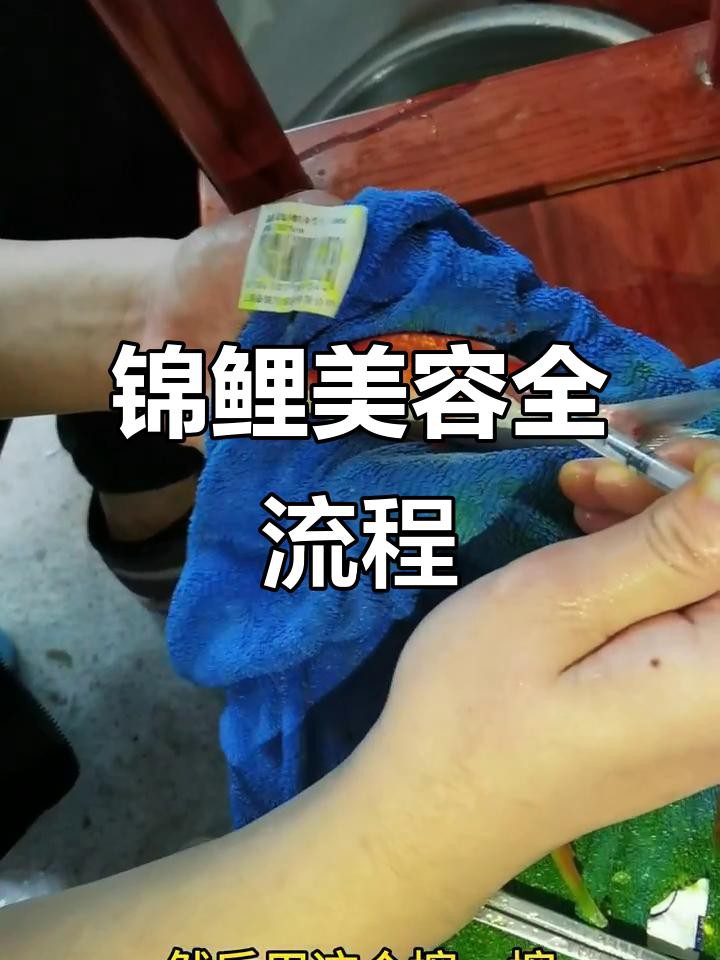 古典金龍七鰭手術費用大概是多少？