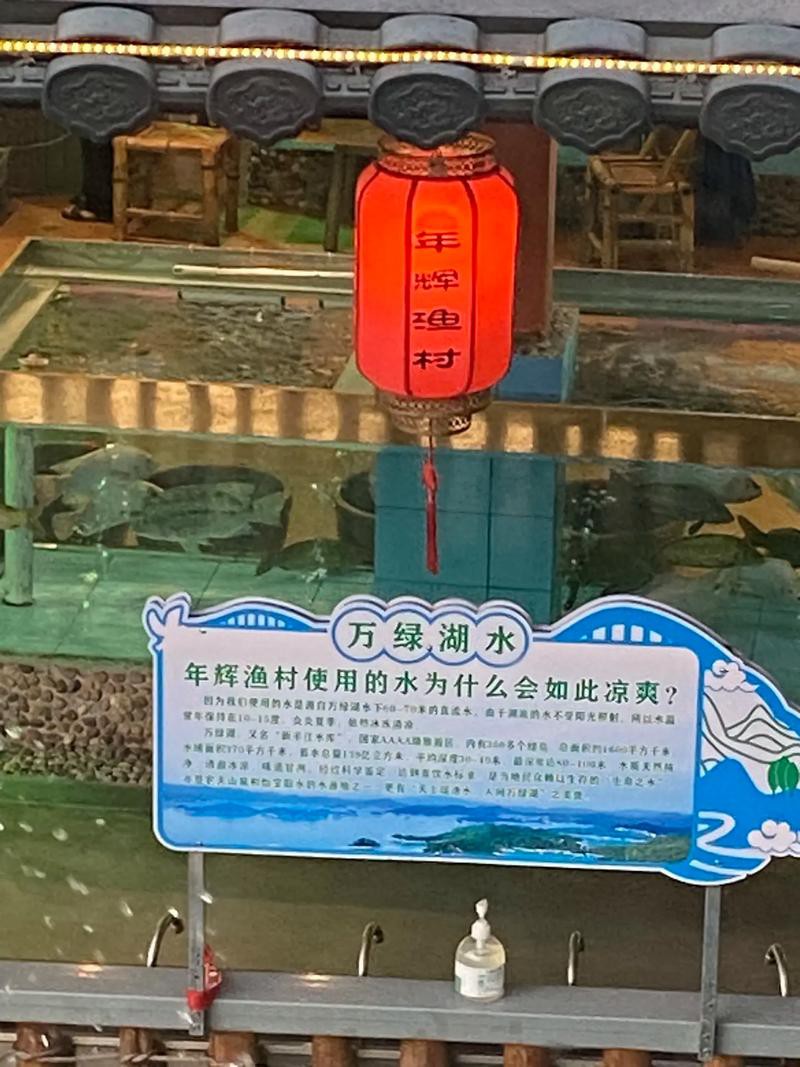 河源鱘龍魚餐廳