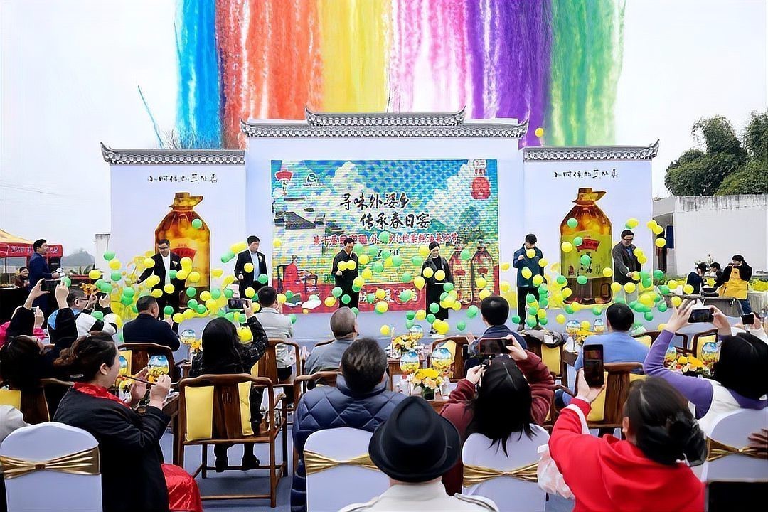 金龍魚品牌贊助過哪些文化活動？