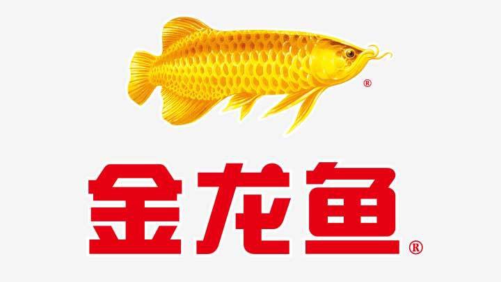 金龍魚品牌贊助過哪些文化活動？
