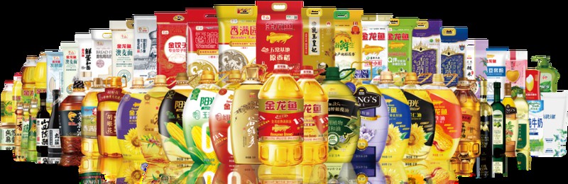 金龍魚品牌贊助過哪些文化活動？