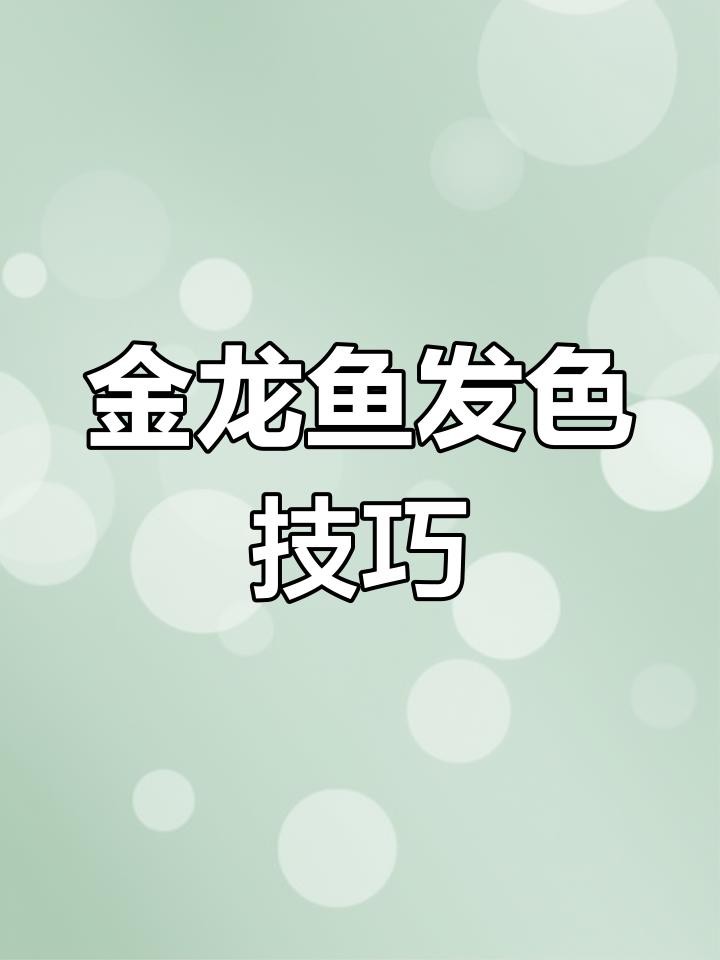 金頭過背金龍魚的最佳喂食頻率 金頭過背金龍魚的最佳喂食頻率 龍魚百科 第4張