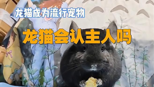 如何判斷龍貓是否信任我？