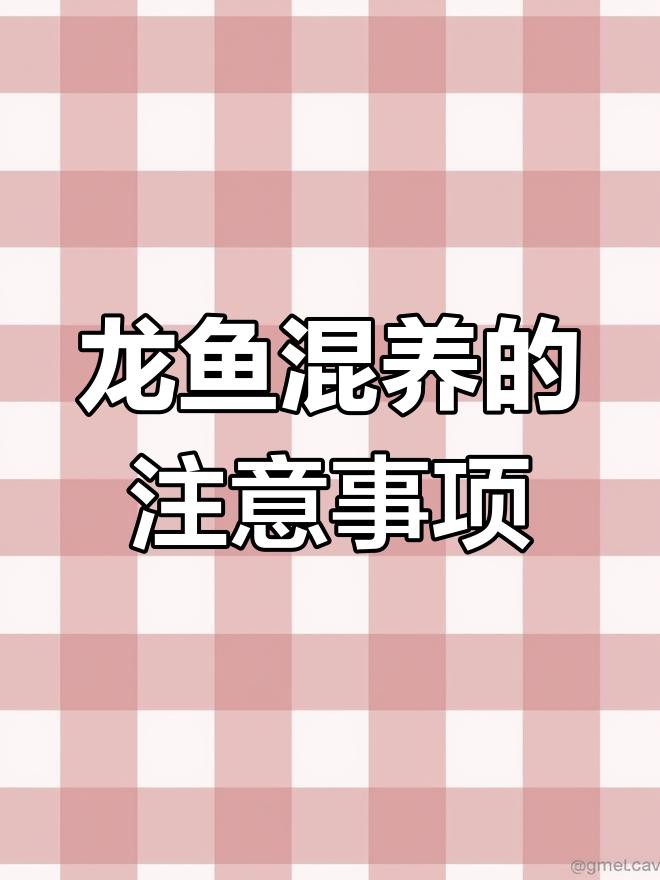 如何預防龍魚爛鰭病