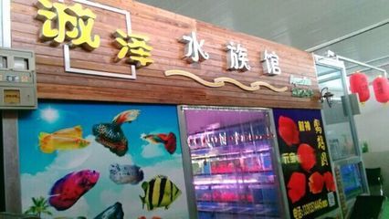 太原水族批發市場（太原水族市場特色魚類）